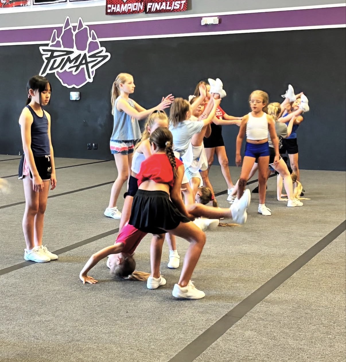 CAMPS & CLINICS